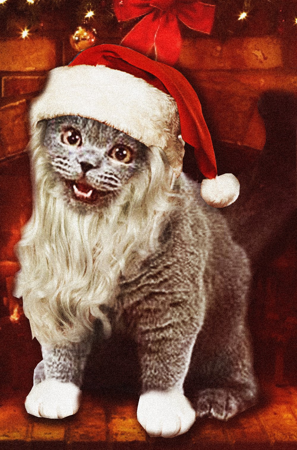 Christmas Frank Happycat - Lolcats - lol | cat memes | funny cats ...