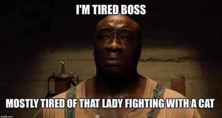 I'm Tired, Boss.