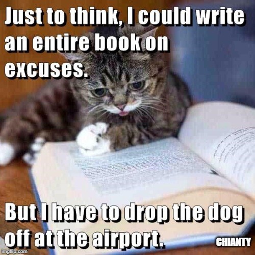 Excuses - Lolcats - lol | cat memes | funny cats | funny cat pictures ...