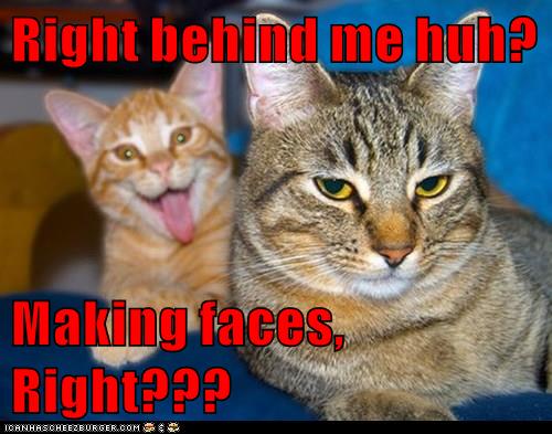 Right behind me huh? - Lolcats - lol | cat memes | funny cats | funny ...