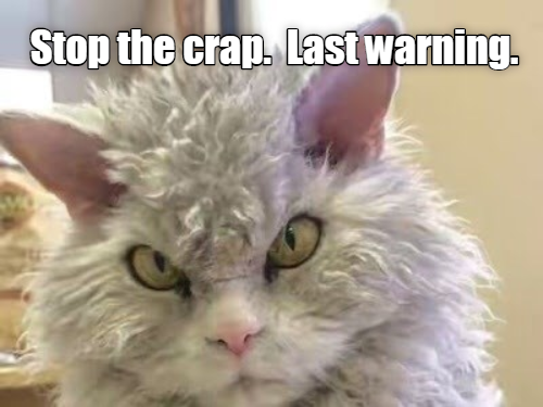 Last warning - Lolcats - lol | cat memes | funny cats | funny cat pictures  with words on them | funny pictures | lol cat memes | lol cats