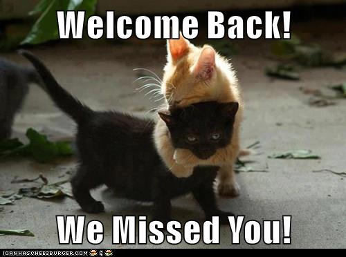 Welcome Back! - Lolcats - lol | cat memes | funny cats ...