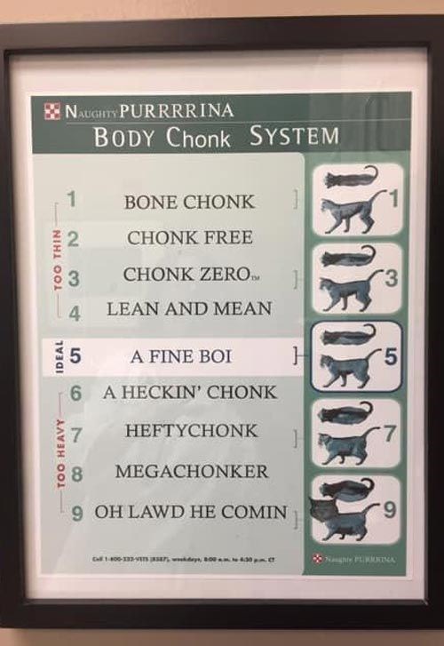 The Full Body Chunk Chart I Can Has Cheezburger?
