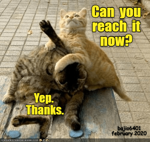 WITH A LITTLE HELP FROM MY FRIEND - Lolcats - lol | cat memes | funny ...