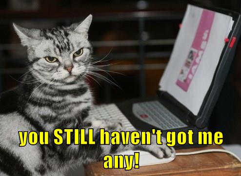 you STILL haven't got me any! - Lolcats - lol | cat memes | funny cats ...