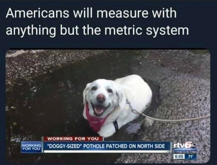 of-a-cute-dog-in-a-water-filled-pothole-and-a-news-headline-that-calls-it-a-doggy-sized-pothole