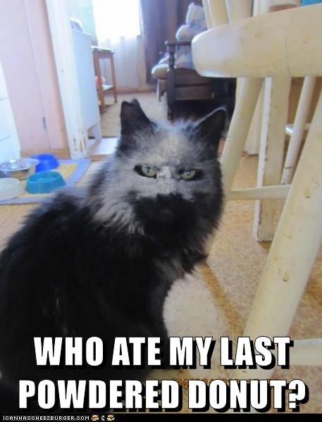 WHO ATE MY LAST POWDERED DONUT? - Lolcats - lol | cat memes | funny ...