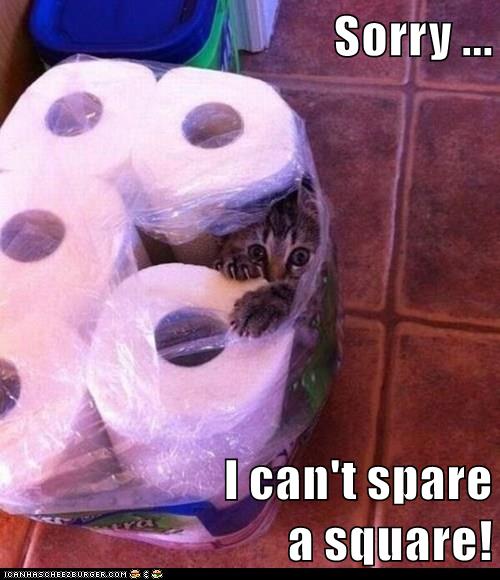 Sorry ... - Lolcats - lol | cat memes | funny cats | funny cat pictures ...