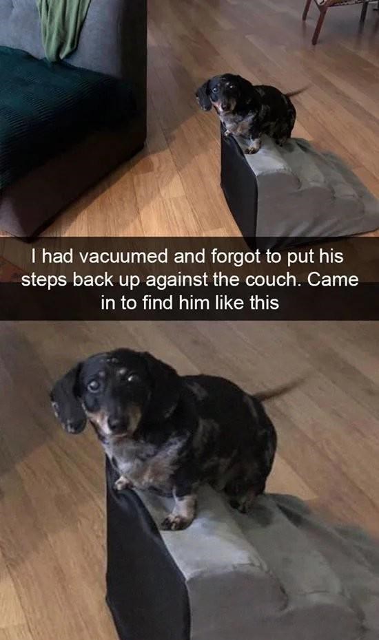 Please help him hop I Can Has Cheezburger?