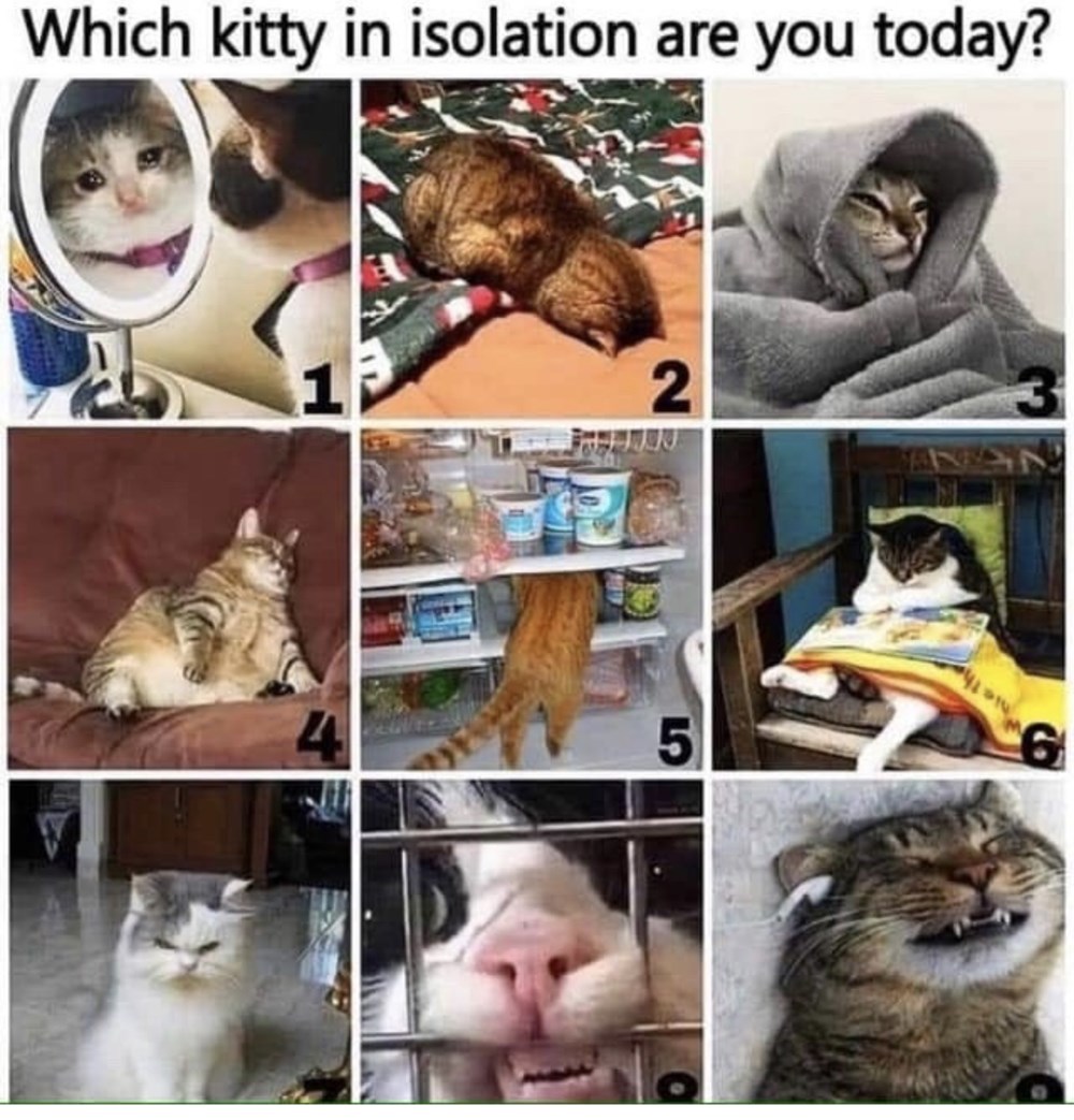 Number 2 memebase funny memes