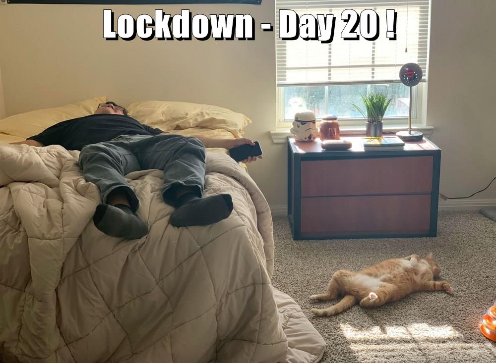 Lockdown - Day 20 ! - Lolcats - lol | cat memes | funny ...