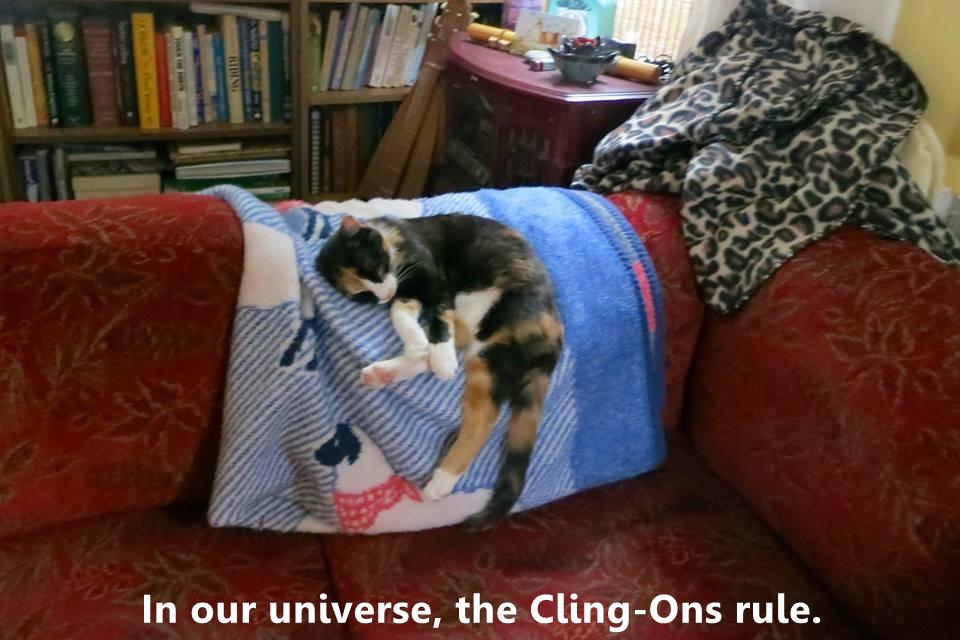 In our universe, the ClingOns rule. Lolcats lol cat memes