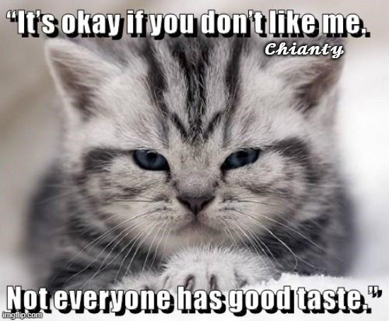 Lolcats - lol | cat memes | funny cats | funny cat pictures with words ...