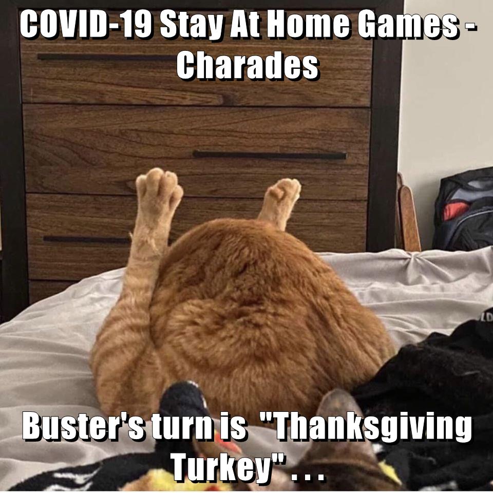 COVID-19 Stay At Home Games - Lolcats - lol | cat memes ...