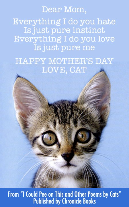 Everything mom. Happy mother's Day Cat. Dear my Cat Happy time.