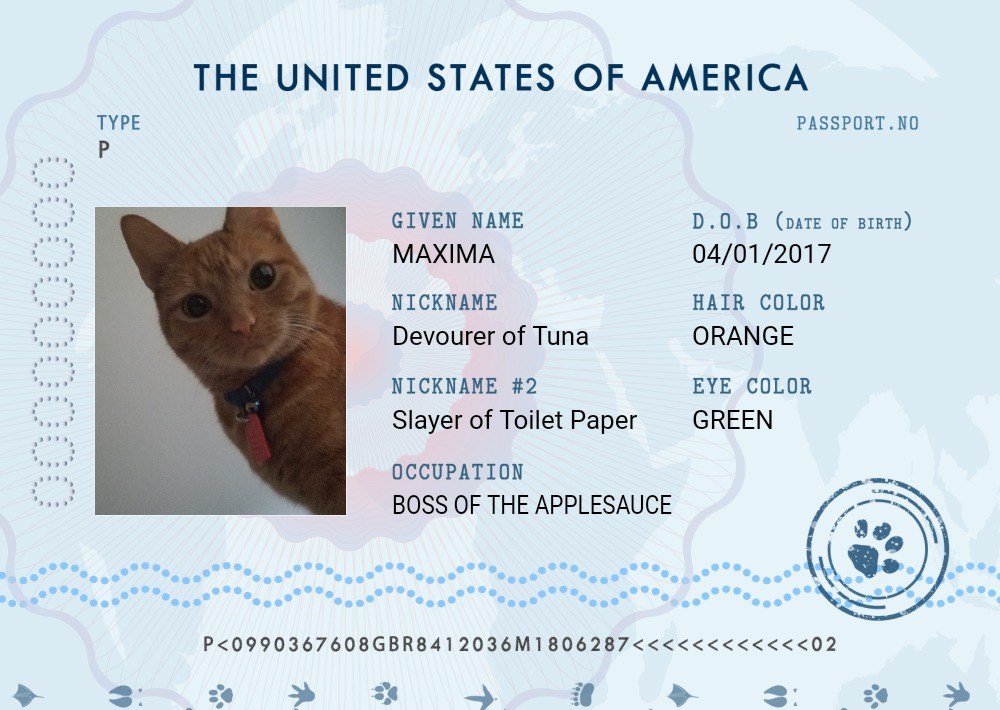 Maxima Pet Passports Cats Dogs Passport Passports Funny