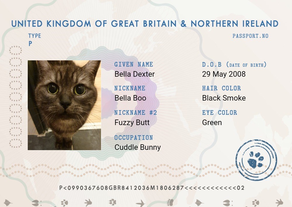 Cat passport store