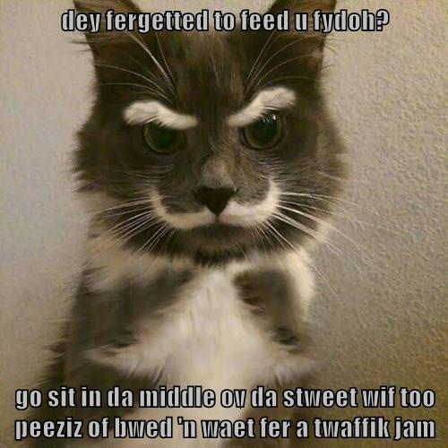 Dey fergetted to feed u fydoh? - Lolcats - lol | cat memes | funny cats ...