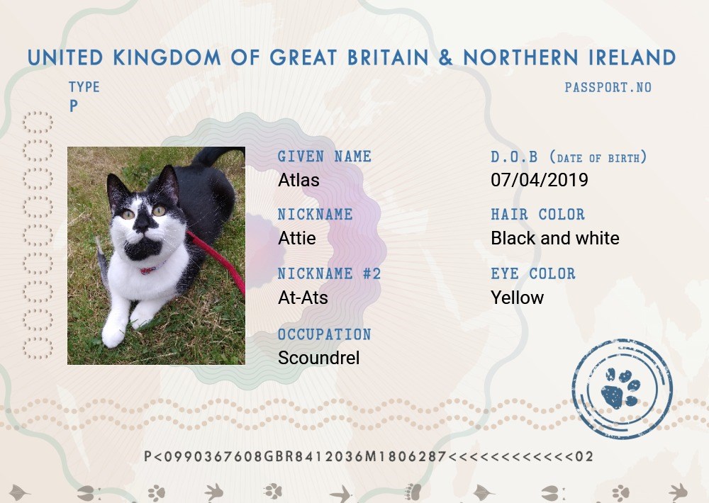 does dog need passport for ireland