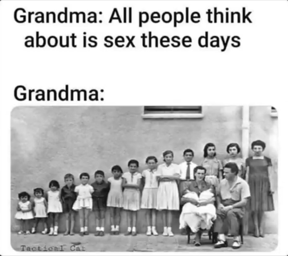 a-photo-of-a-mid-century-couple-with-16-children-grandma-all-people-think-about-is-sex-these-days