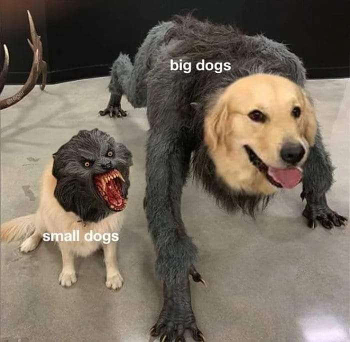 Aggressive Dog Breeds Meme