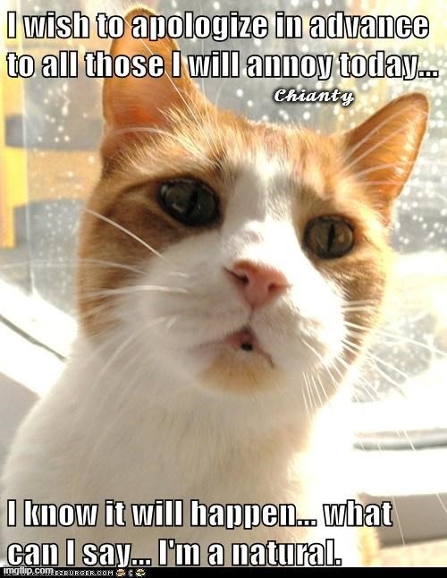 Untitled - Lolcats - lol | cat memes | funny cats | funny cat pictures ...