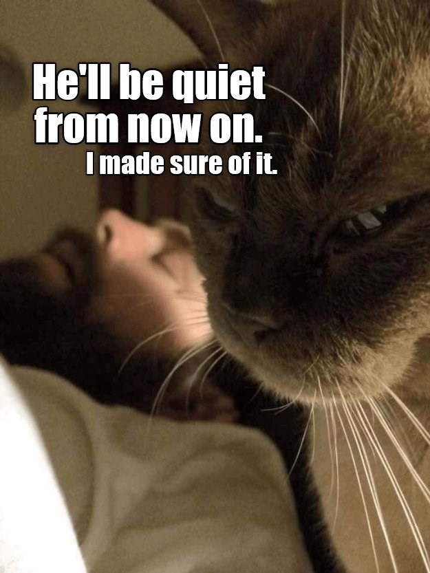 Listen to the silence - Lolcats - lol | cat memes | funny cats | funny ...
