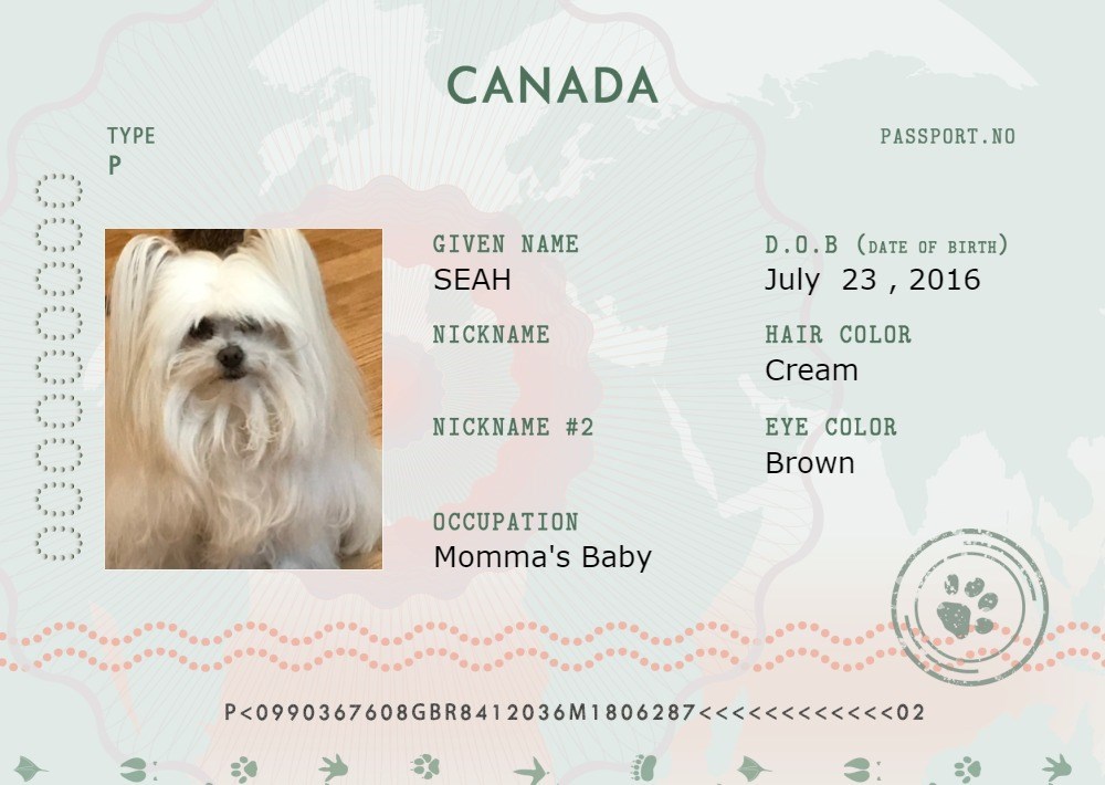 Seah S Canadian Passport Pet Passports Cats Dogs Passport Passports Funny