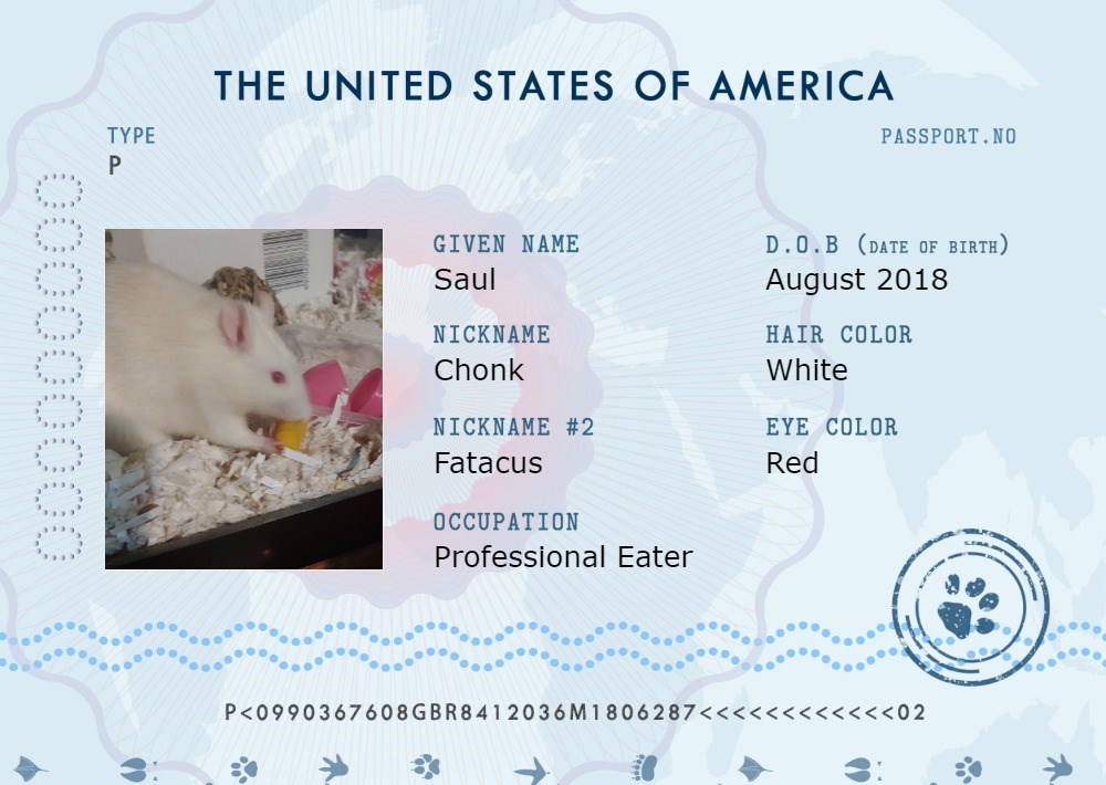 Pet Passports Page 4 Pet Passports Create your pet his own unique