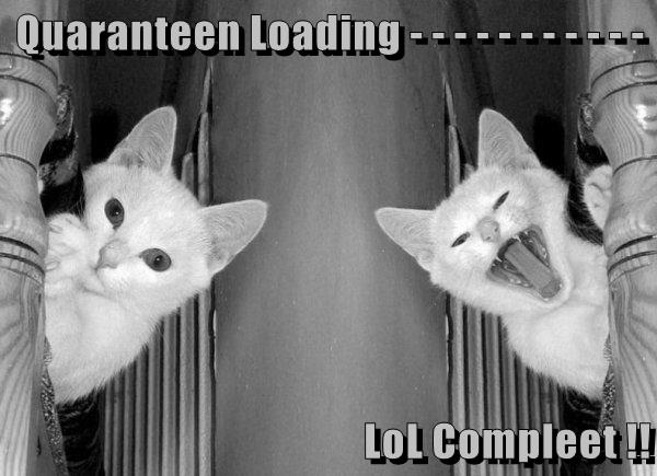 Loading Lolcats Lol Cat Memes Funny Cats