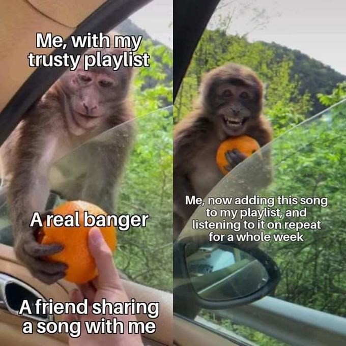 monkey listening to music meme｜TikTok Search