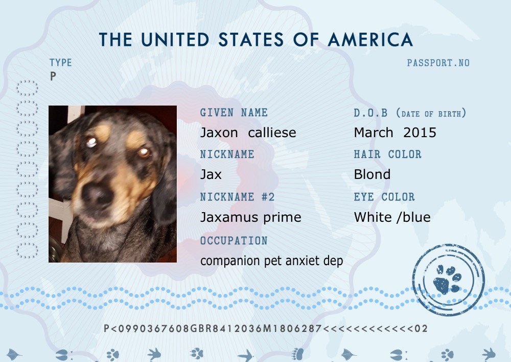 Kcmo Usa Passport Pet Passports Cats Dogs Passport Passports 
