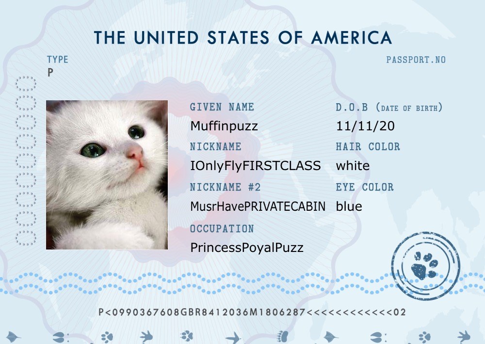 First Class Limits On Airlines Pet Passports Cats Dogs Passport Passports Funny