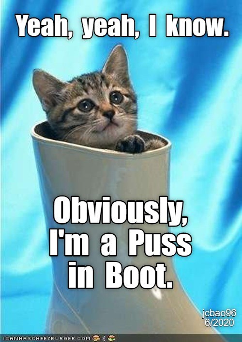 I NEED ANOTHER BOOT Lolcats lol cat memes funny cats funny