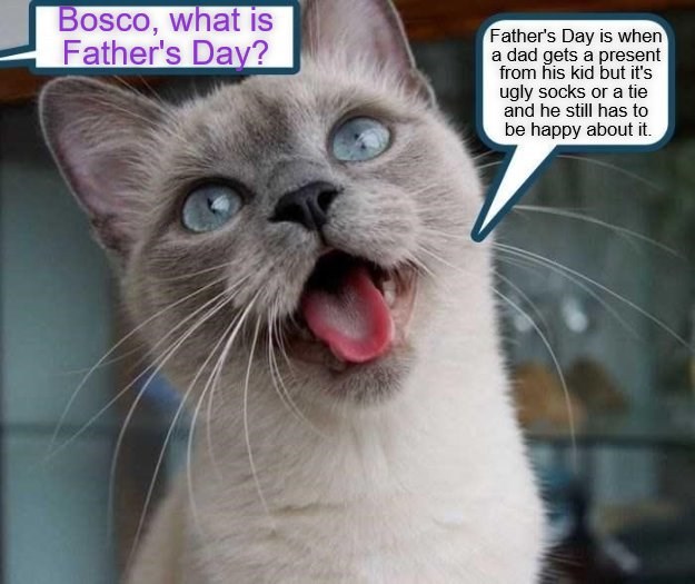 Happy Father's Day! - Lolcats - lol | cat memes | funny cats | funny ...