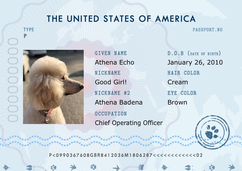 Athena Pet Passports Cats Dogs Passport Passports Funny