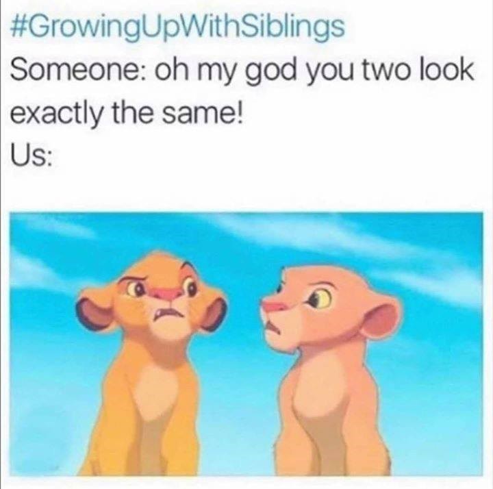 You look exactly the same I Can Has Cheezburger?