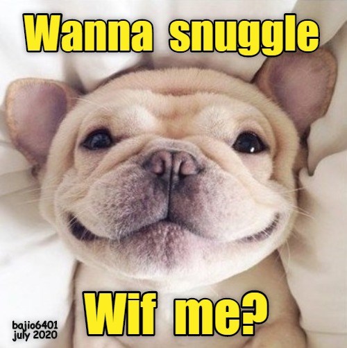 I SNUGGLE REAL GOOD - I Has A Hotdog - Dog Pictures - Funny pictures of ...