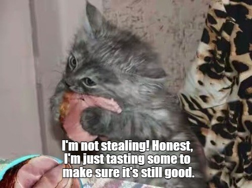 Not stealing - Lolcats - lol | cat memes | funny cats | funny cat ...