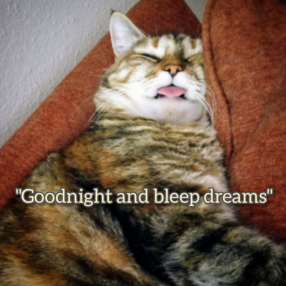 Bleep in sleep - Cats N' Kittens - Cat Pictures - Cute Kittens