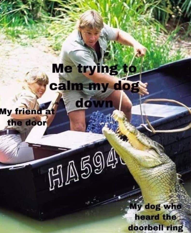 Memebase Crocodile All Your Memes In Our Base Funny Memes Cheezburger