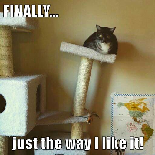 Finally - Lolcats - Lol 