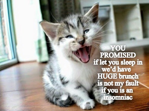 Promises Promises - Lolcats - lol | cat memes | funny cats | funny cat ...