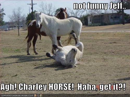 not funny Jeff.. Agh! Charley HORSE! Haha, get it?! - Cheezburger ...