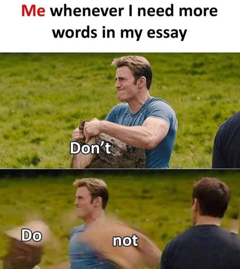 word count essay meme