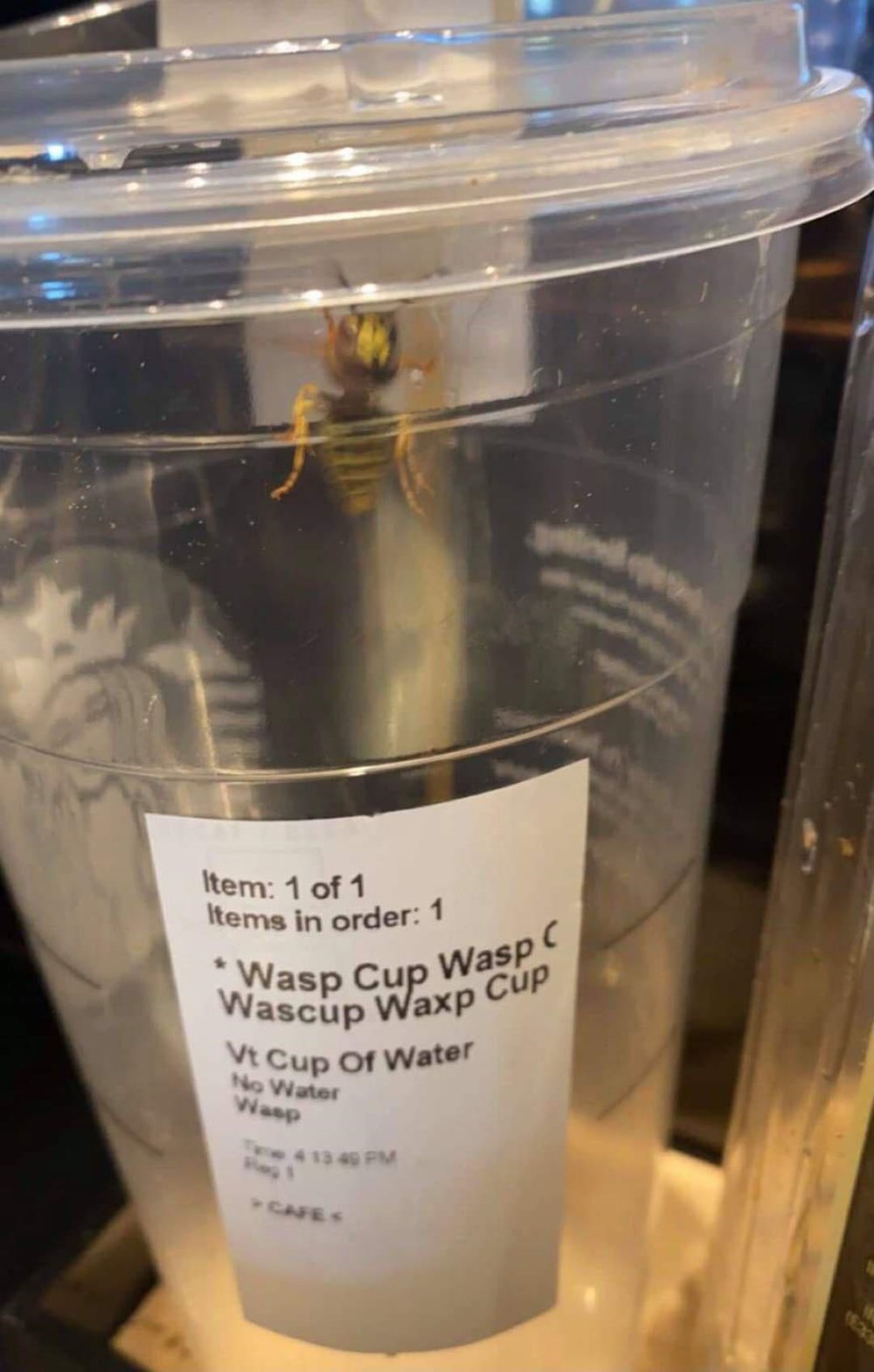 Wasp Cup - Memebase - Funny Memes