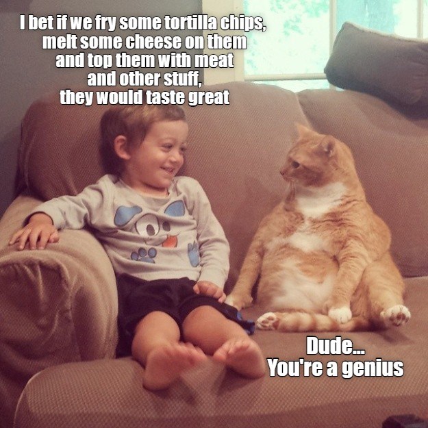 The Invention of Nachos Lolcats lol cat memes funny cats funny cat pictures with words