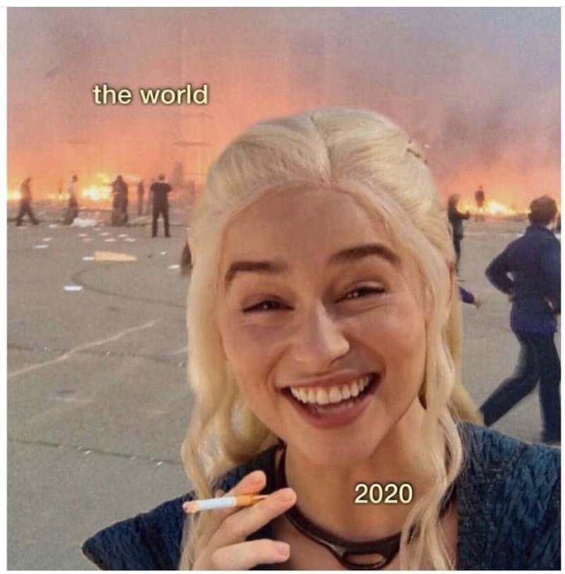 The World - 2020 Meme of the Year