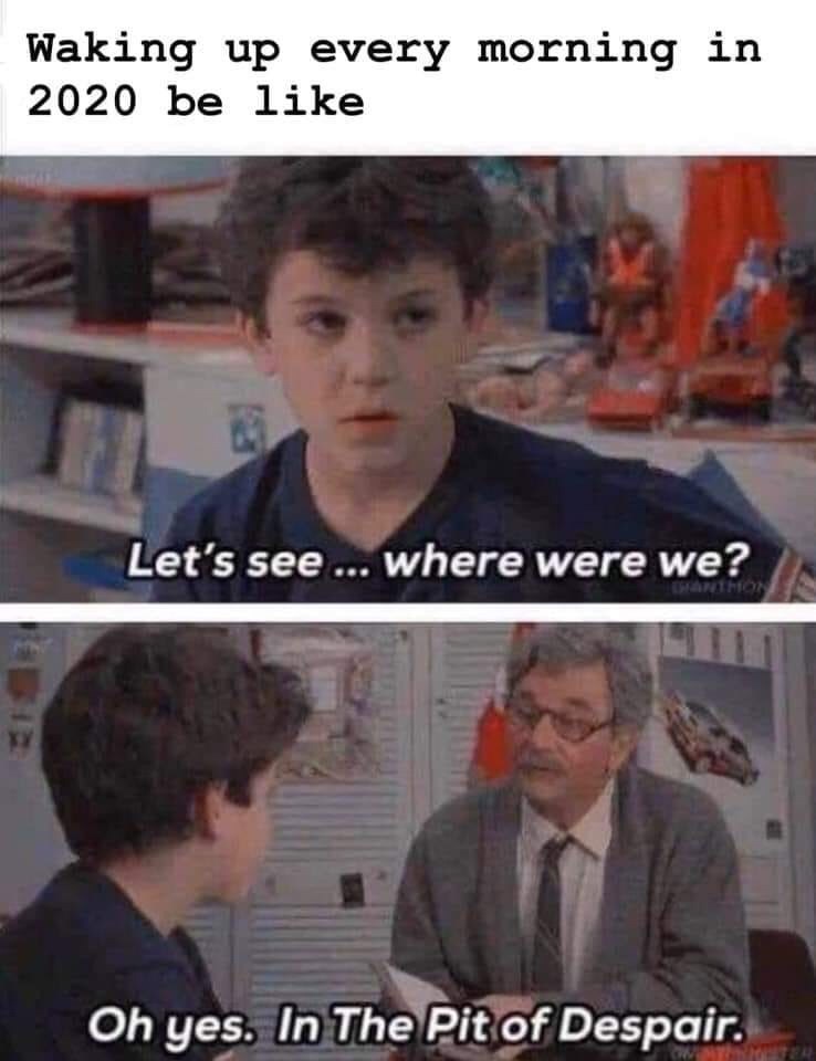 Every. Single. Day. 2020 Meme of the Year