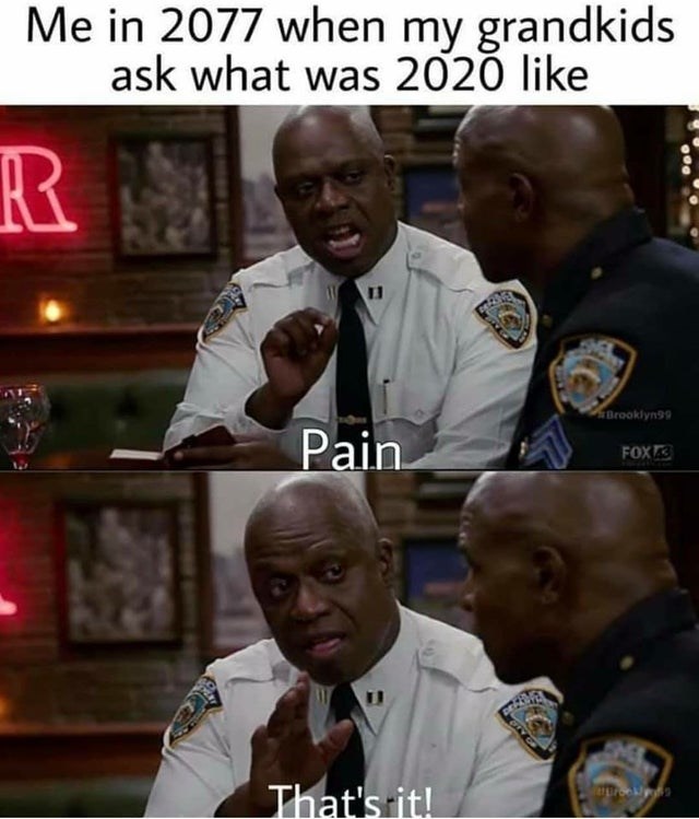 Just Pain - 2020 Meme of the Year